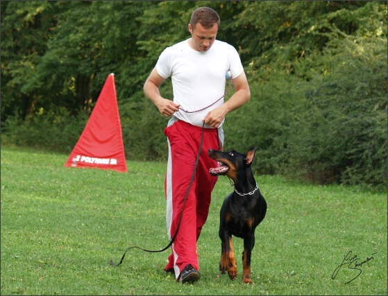 Summer training camp - Jelenec - 2007